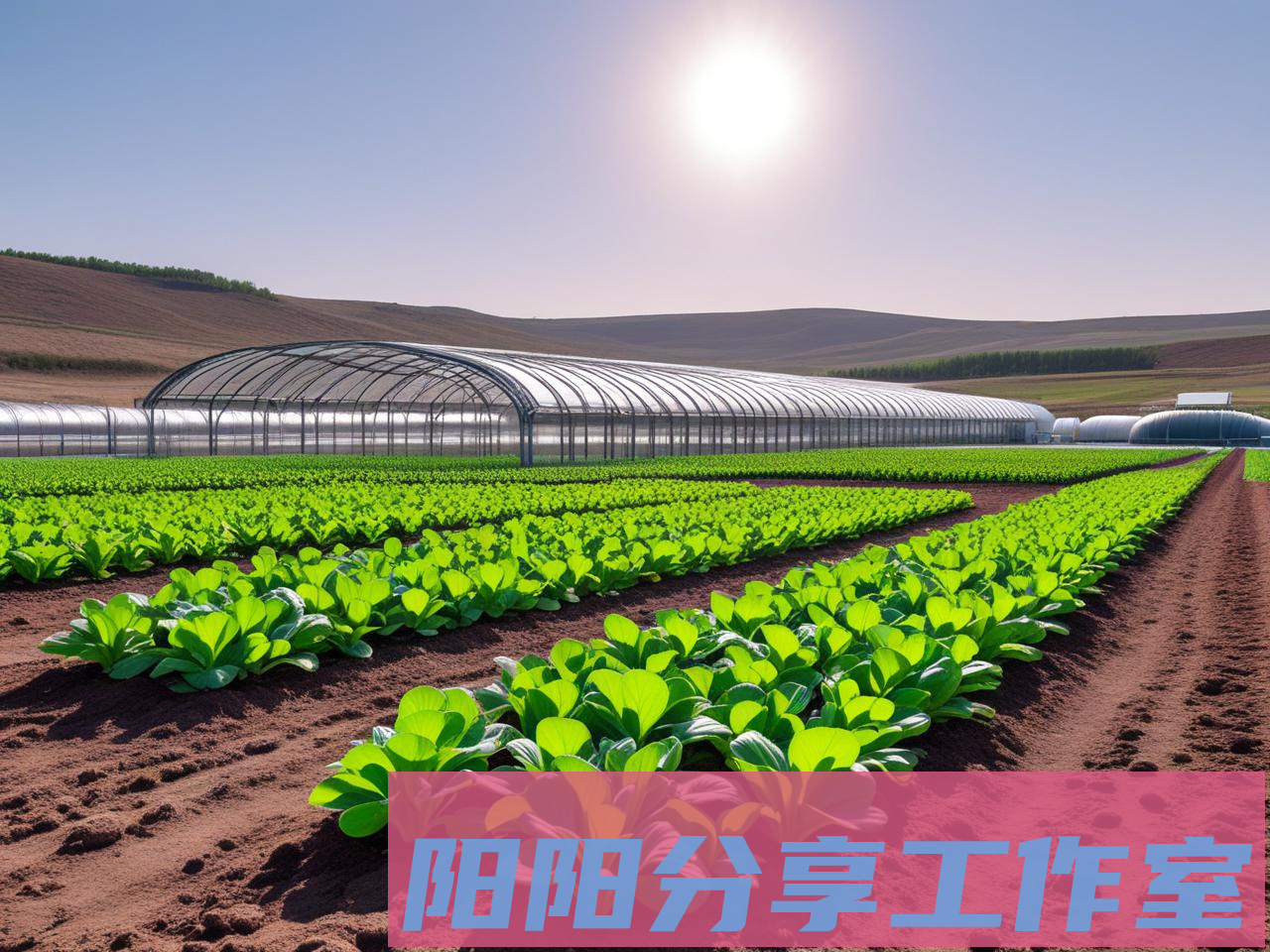 月球农场革命：人类在月壤中种出可食用蔬菜 - 阳阳分享工作室